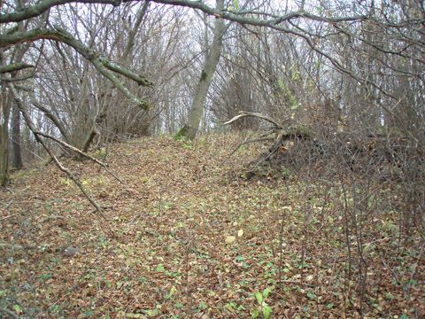 Foto 39